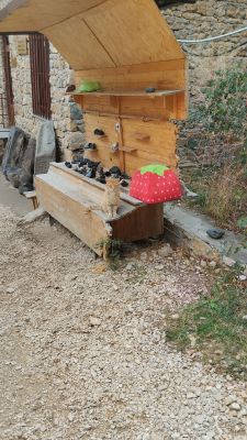 Рыжий кот-помощник