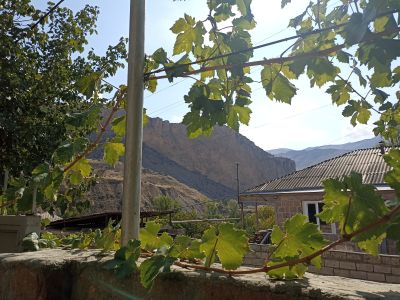 Вид с территории