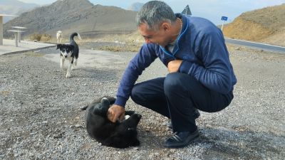 Гид тискает собачку