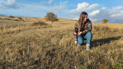 Обратная дорога