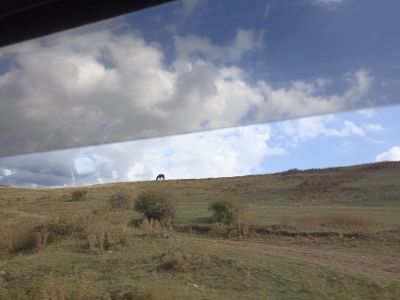 Красивые виды и лошадка