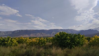 Красивые виды