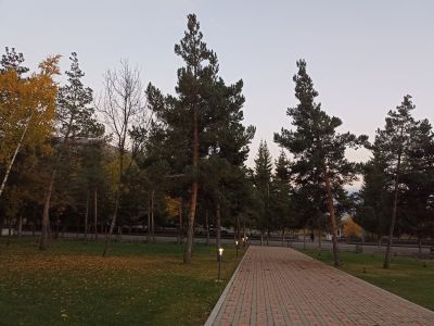 Прогулка