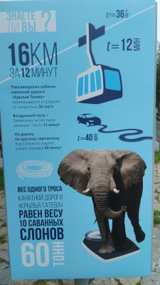 Факты о канатной дороге