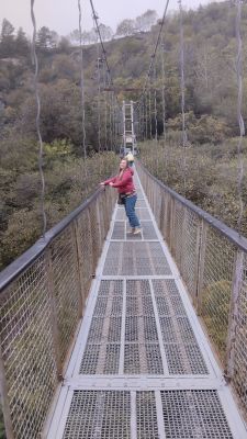 Света на подвесном мосту