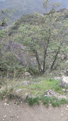 Виды с надзорного пункта