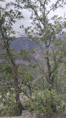 Виды с надзорного пункта