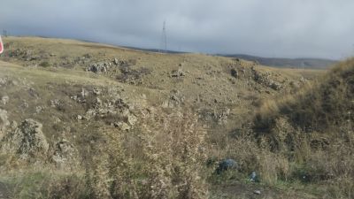 Красивые виды