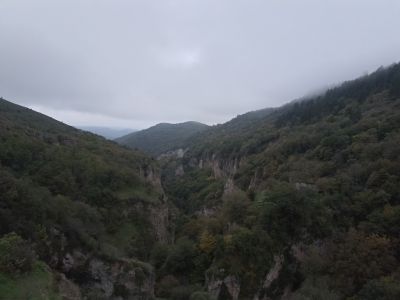 Красивые виды