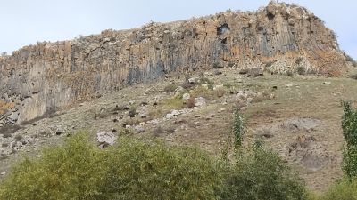 Коровки в горах