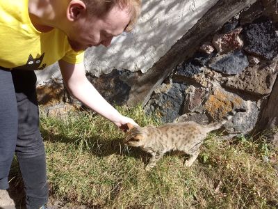 Андрей с милыми местными котиками перед обедом