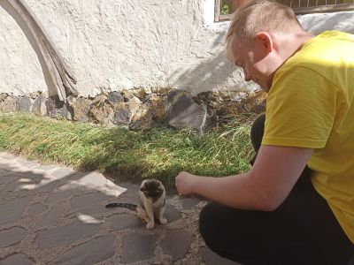 Андрей с милыми местными котиками перед обедом