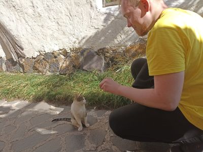 Андрей с милыми местными котиками перед обедом