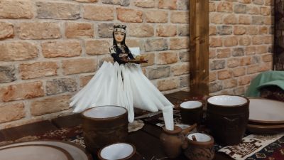 Девушка с салфетками