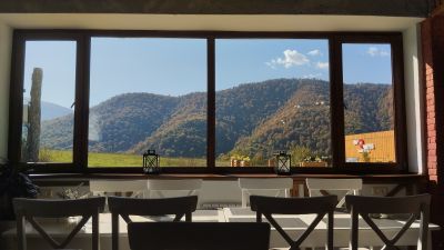 Вид из столовой