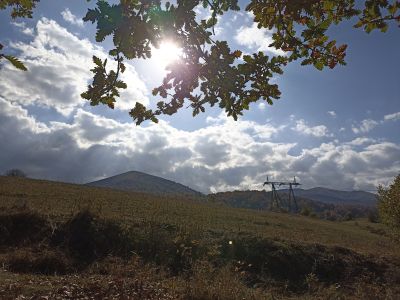 Вид на поле