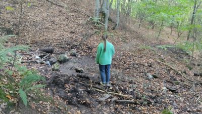 Света в лесу