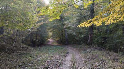 Начало пешей тропы