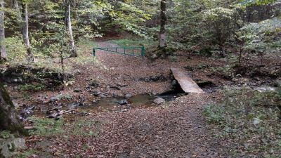 Первый ориентир на тропе - мост через ручей