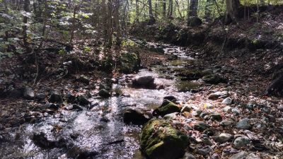 Собственно ручей