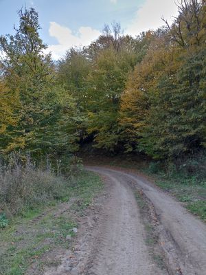 Красивые виды на пути к монастырю