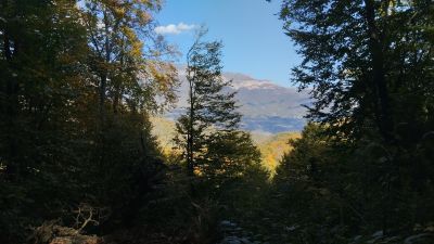 Красивые виды на пути к монастырю