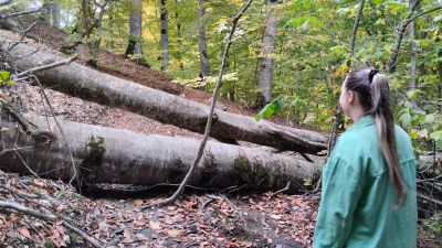 Внезапная преграда