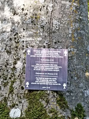 Евангелие от Иоанна на дереве (крипотааааа)