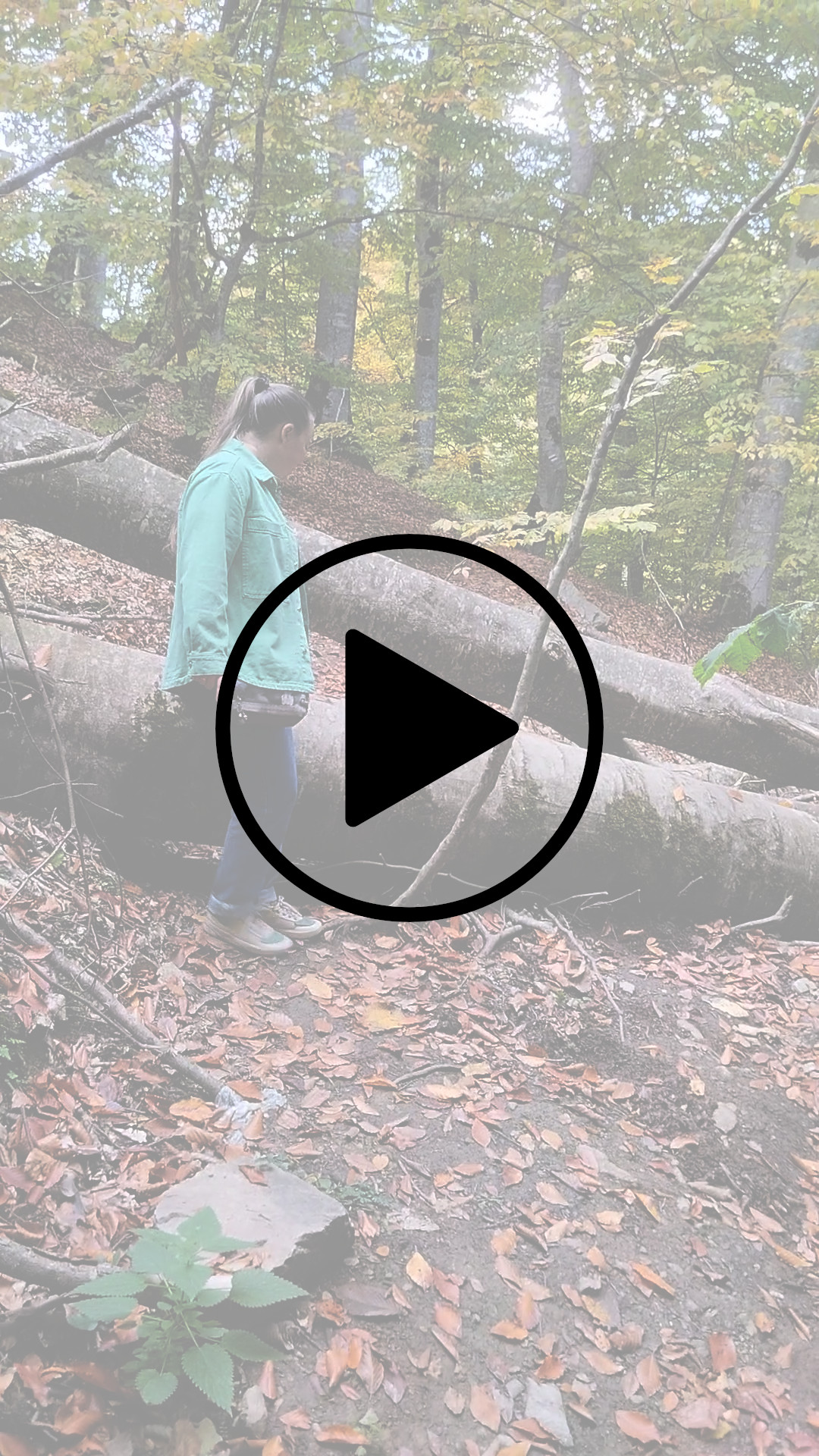 Внезапная преграда