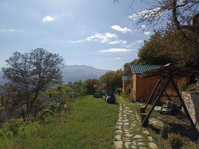 Вид с территории