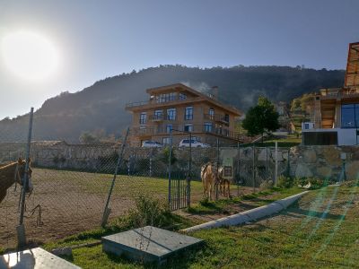 Лошадки в YELL Extreme Park