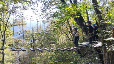Света в вервочном парке