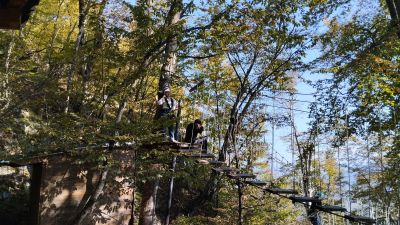 Света в вервочном парке