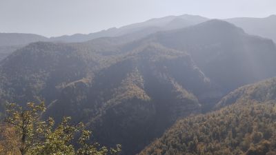 Виды после одной из трасс зиплайнов