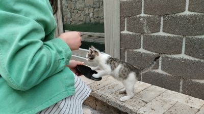 А ещё осталось что-нибудь?