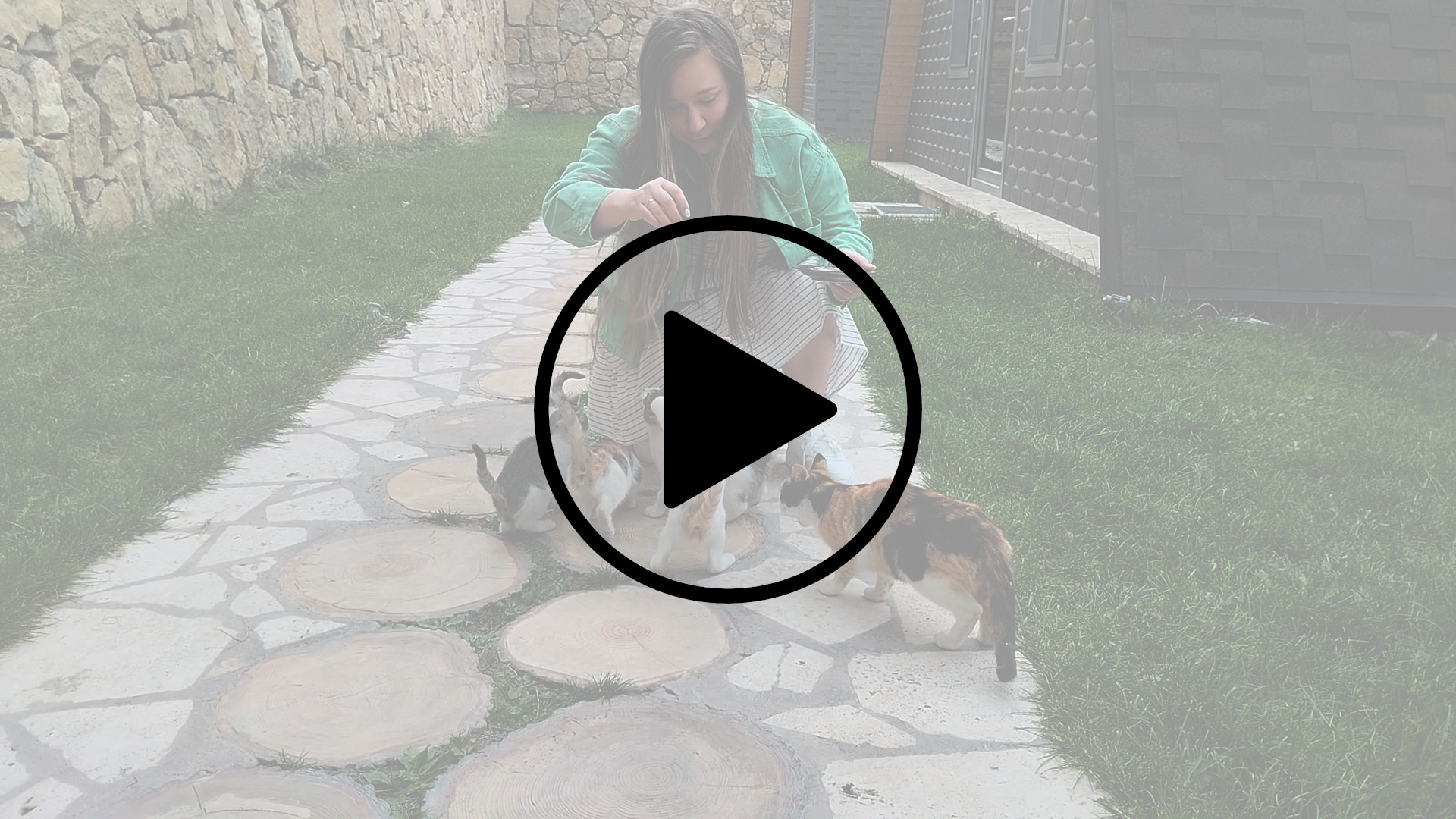 Кормёжка семейства