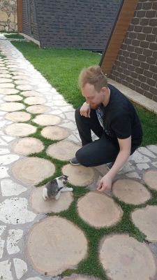 Андрей играет с котёнком