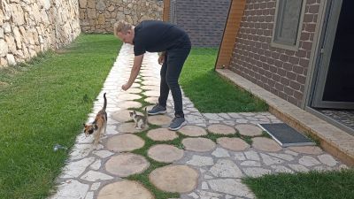 Андрей играет с котёнком