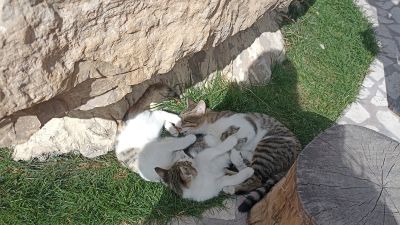 Да успокойтесь вы уже наконец!