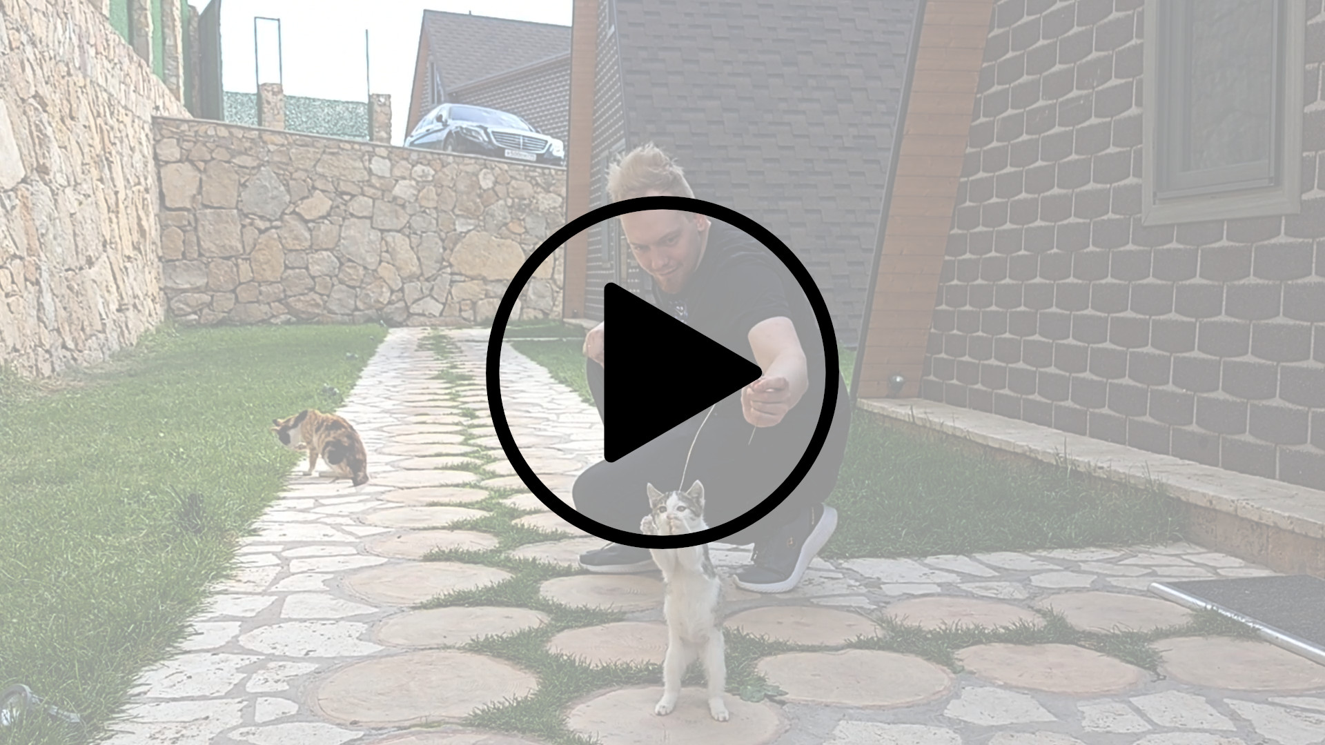 Андрей играет с котёнком