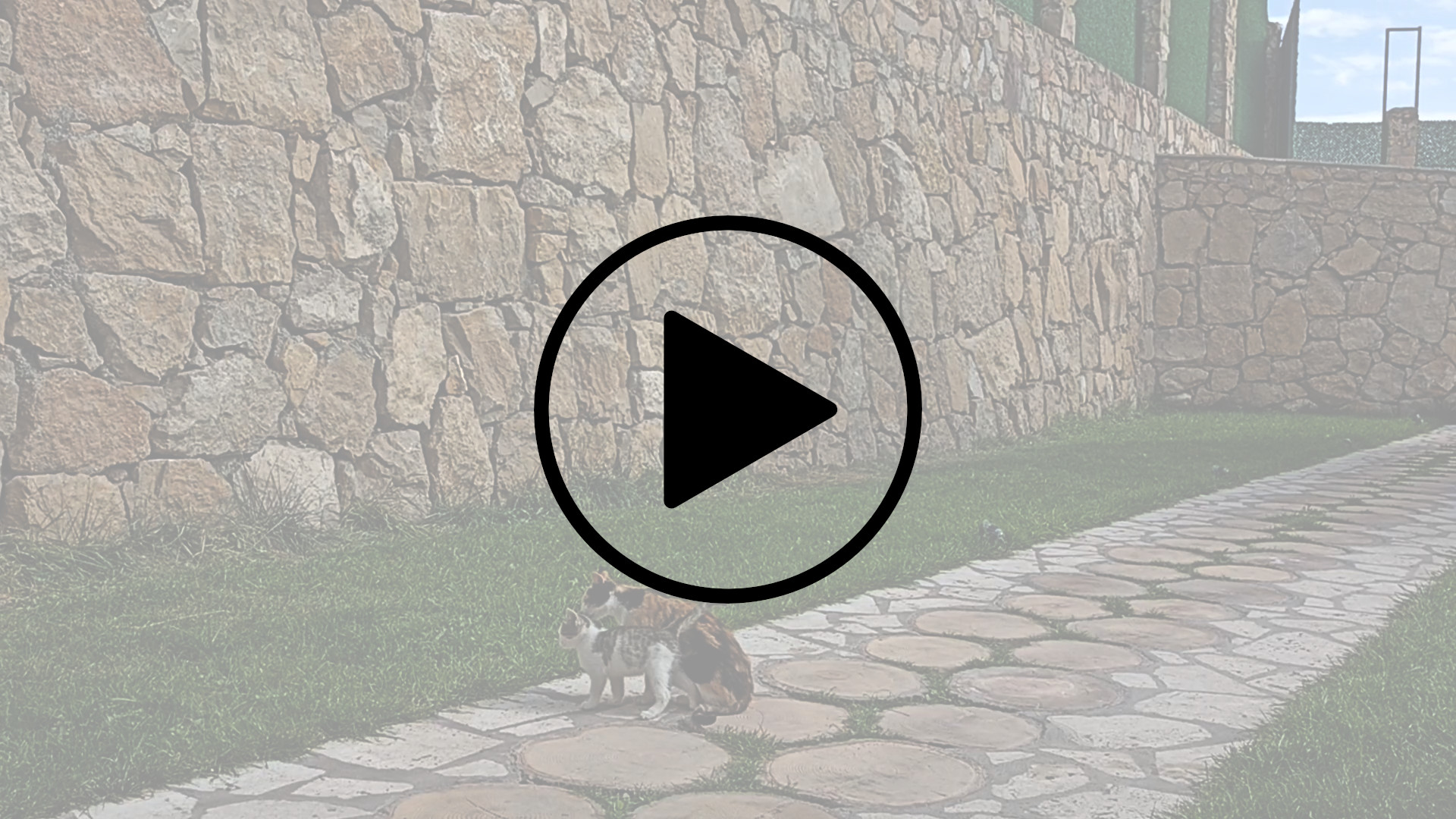 Время умываться